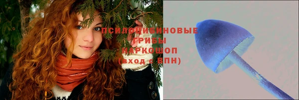 бошки Новокубанск