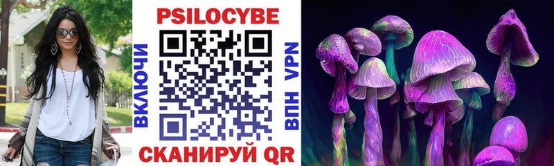 продажа наркотиков  Касли  Псилоцибиновые грибы Cubensis 
