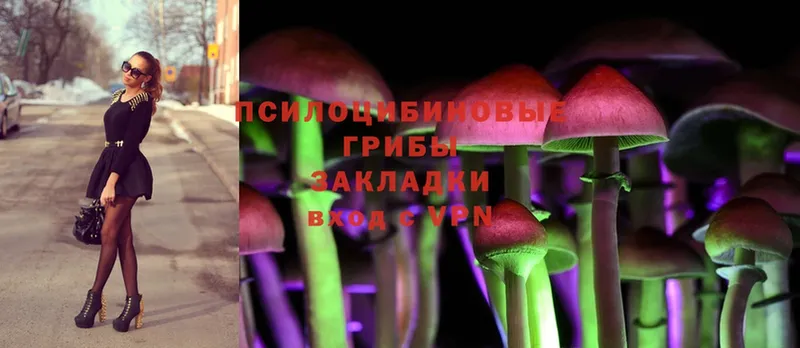 Галлюциногенные грибы Psilocybine cubensis  Касли 